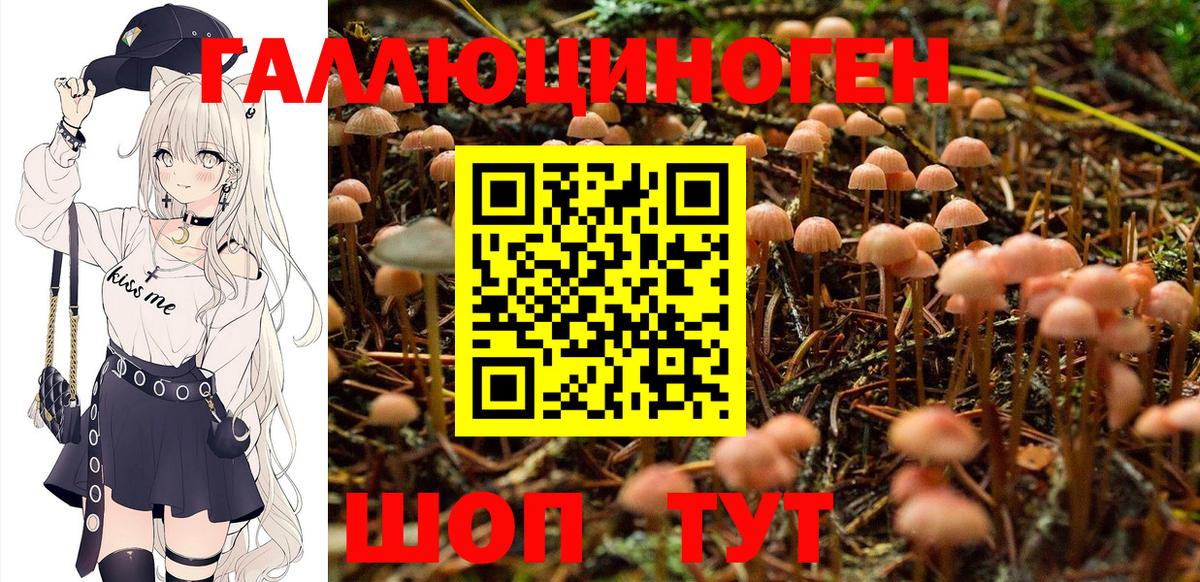 Псилоцибиновые грибы ЛСД Сухой Лог